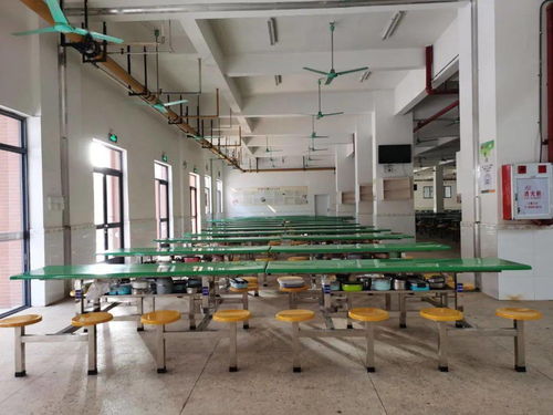 學(xué)校食堂 互聯(lián)網(wǎng) 明廚亮灶 建設(shè)工作,完成率100