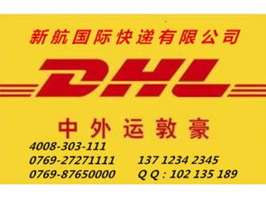 專業高效，鏈接全球 企石DHL快遞服務與南城新航貨運倉儲解決方案