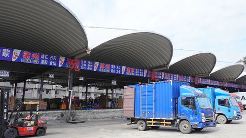 簽約兄弟團物流，快運兔運力再升級，攜手共拓國內貨運代理新版圖